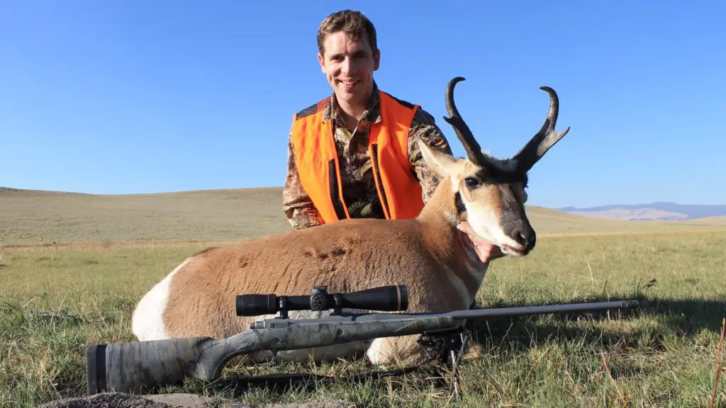 picture of Best Hunting Ear Protection howard leight pronghorn