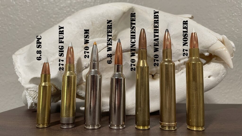 picture of 270 caliber cartridges