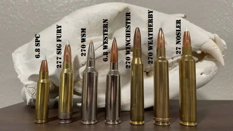 270 vs 308 Win: Which Is The Best Hunting Cartridge?