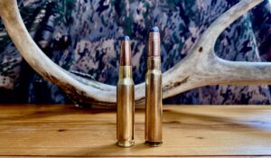 8mm Mauser vs 308 Winchester – What You Need To Know