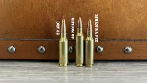 22 ARC vs 223 Remington: New Hot Rod? Or Old Reliable?