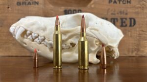 22 ARC vs 223 Remington: New Hot Rod? Or Old Reliable?