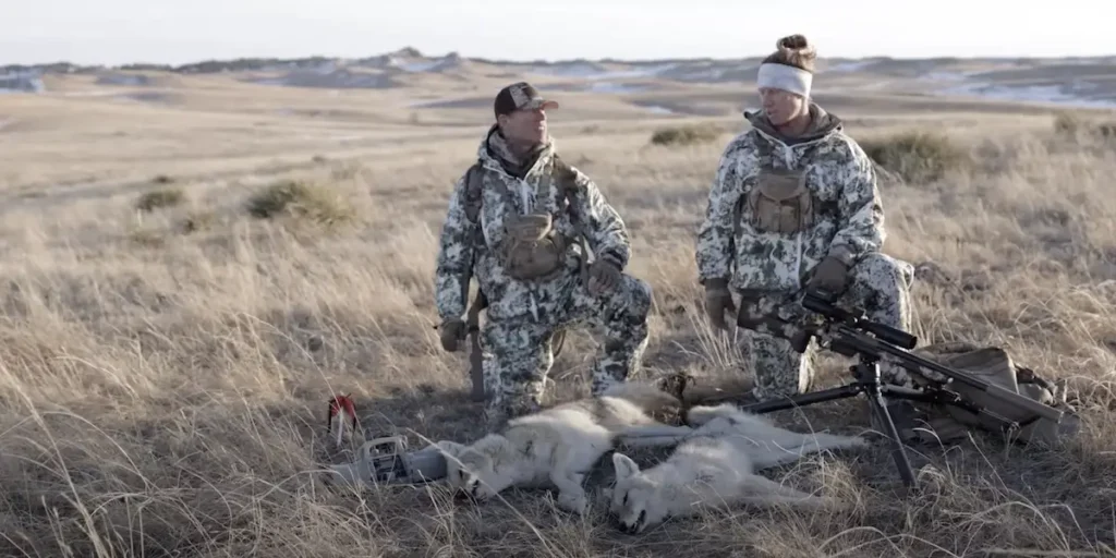 22 creedmoor vs 22-250 coyote 22-250