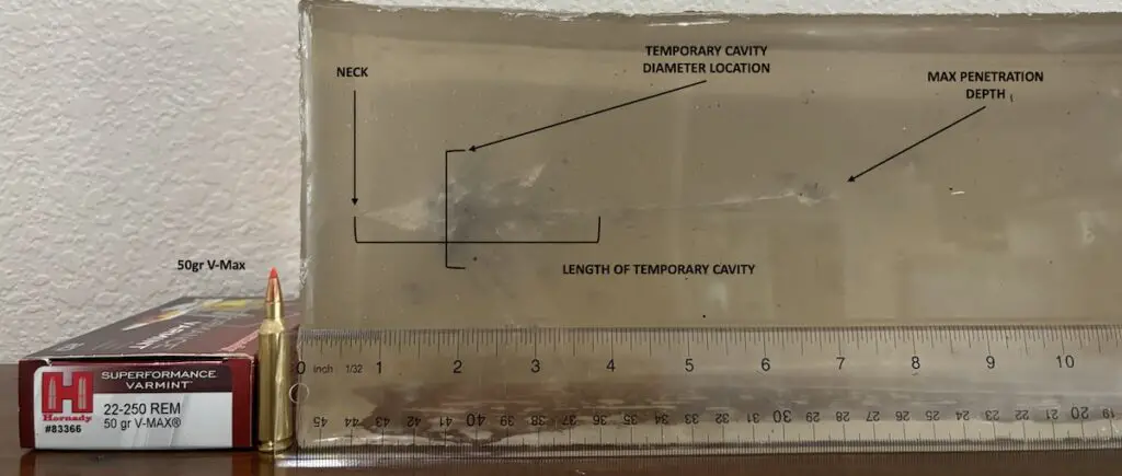 22 creedmoor vs 22-250 gel 22-250 Hornady