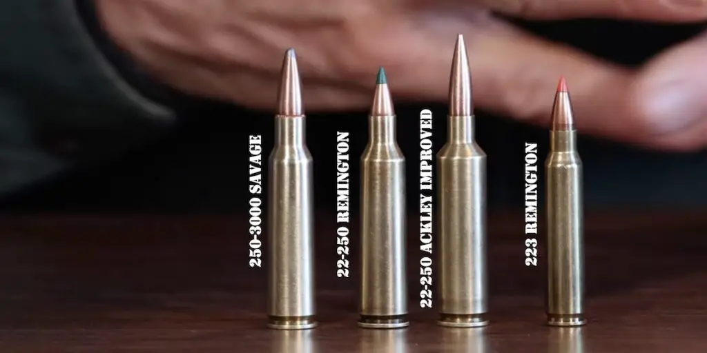 picture of 22-250 vs 22 creedmoor vs 22-250 ai