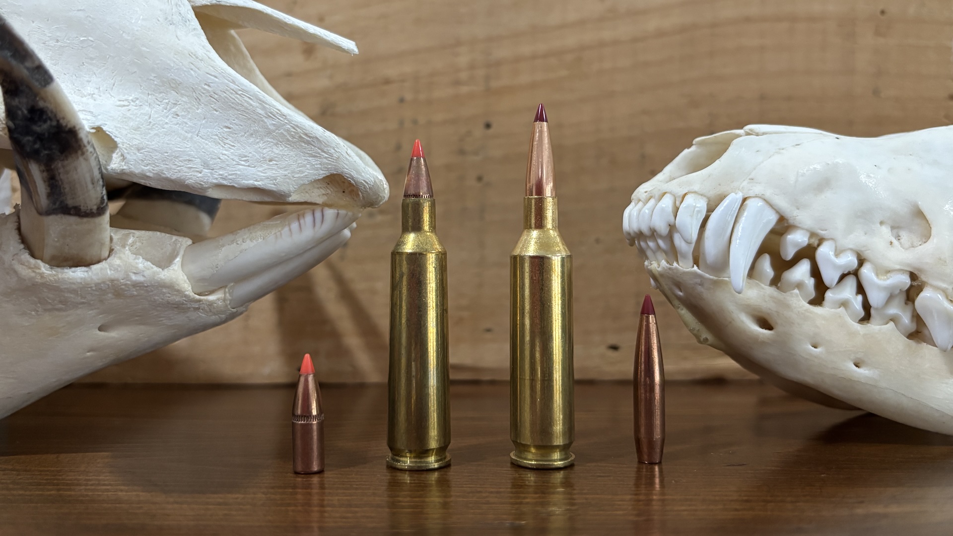 picture of 22 creedmoor vs 22-250 featured